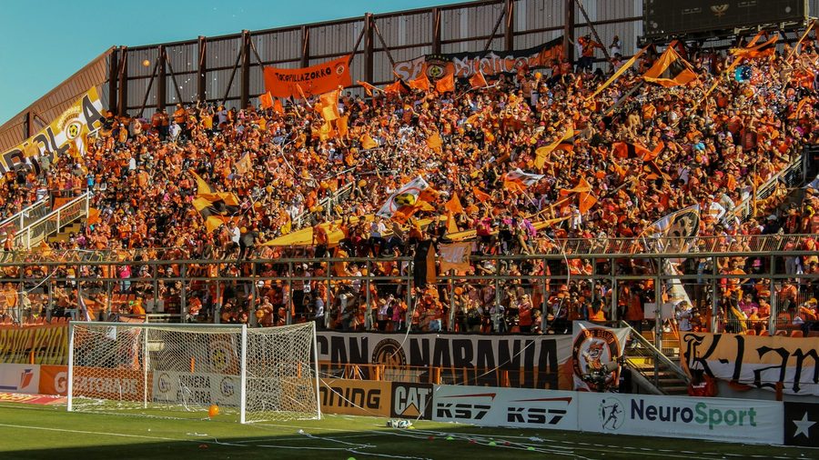 开云体育 APP — 营业执照与资质公示示意配图